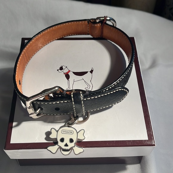 COACH Skull and Crossbones collar with original box and tags. - Picture 2 of 5